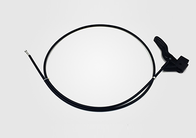 中國最大拉索企業(yè)落戶重慶兩江新區(qū)投產(chǎn)